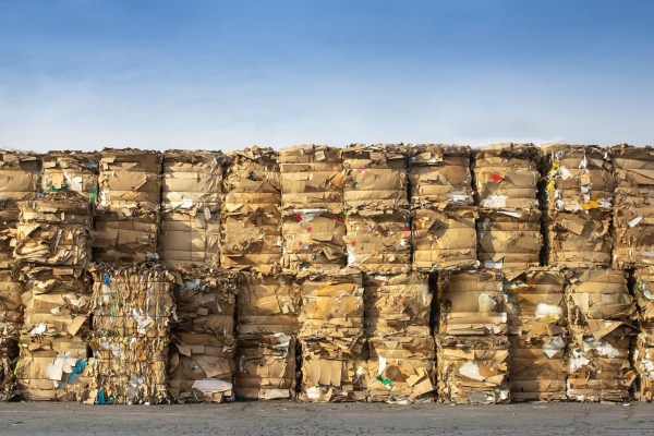 Waste Paper Collection